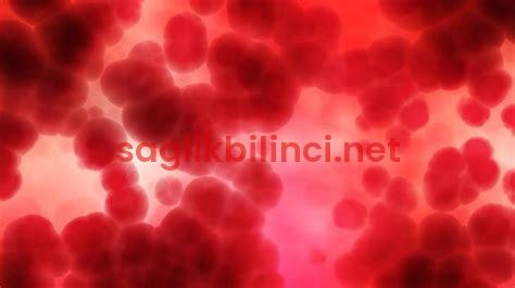 Kan Grubu Hesaplama: Nasıl Yapılır?