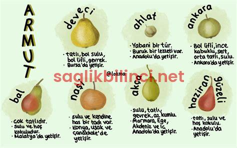 Armut Çeşitleri: Tatları ve Kullanım Alanlarına Göre İpuçları