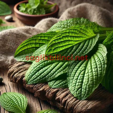 Demir Tozu: Faydaları, Kullanım Alanları ve Dikkat Edilmesi Gerekenler