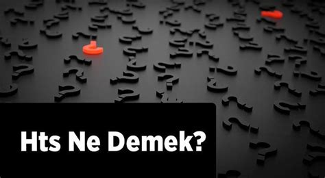 HTS Ne Demek? İşletmeler İçin Anlamı ve Önemi