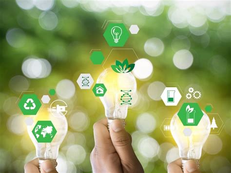 İklim Davetiye: Doğanın Dengesi ve Sosyal Sorumluluk