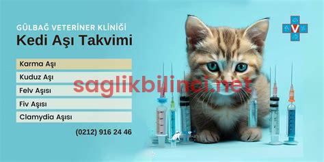 Kedi Aşı Takvimi: Kedinizin Sağlığı İçin Öneriler
