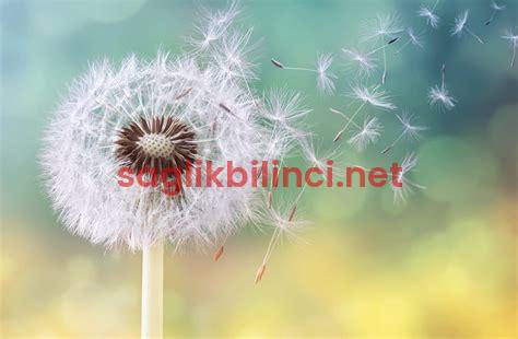 Mastodini Nedir? Belirtileri ve Tedavi Seçenekleri