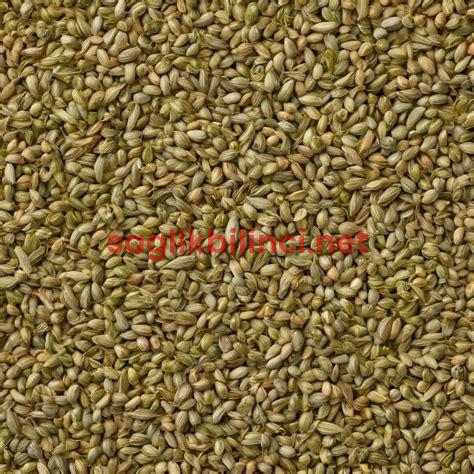 Maydanoz Tohumu: Faydaları ve Kullanım Alanları