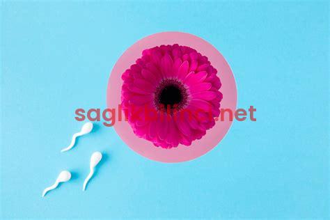 Vajina Şekilleri: Gerçekler ve Mitler