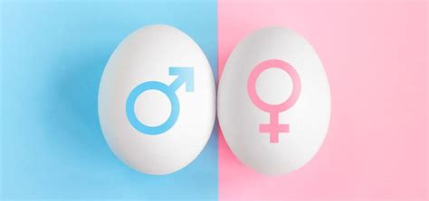 Yüzde Yüz Cinsiyet Belirleme: Varlığı ve Yöntemleri